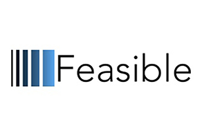 Image of Feasible's Logo