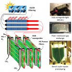 Efficient Photobioreactor for Algae-Based Fuel