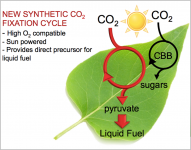 Efficient CO2 Fixation Pathways